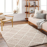 Urban Shag USG-2319 7'10" x 10'2" Machine Woven Rug USG2319-710103 Livabliss Surya