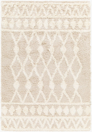 Livabliss Urban Scandinavian Shag Polypropylene Woven Rug Soft Textured Living Room Floor Accent USG2345-6796