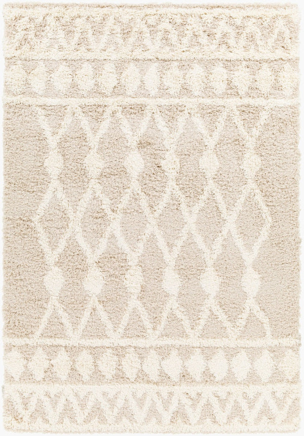 Livabliss Urban Scandinavian Shag Polypropylene Woven Rug Soft Textured Living Room Floor Accent USG2345-6796