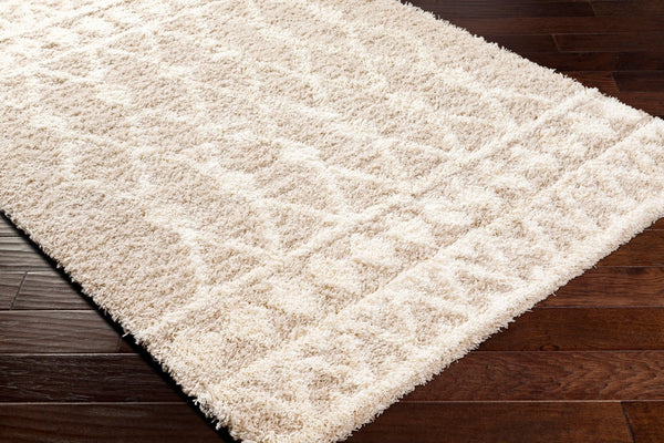 Livabliss Urban Scandinavian Shag Polypropylene Woven Rug Soft Textured Living Room Floor Accent USG2345-6796