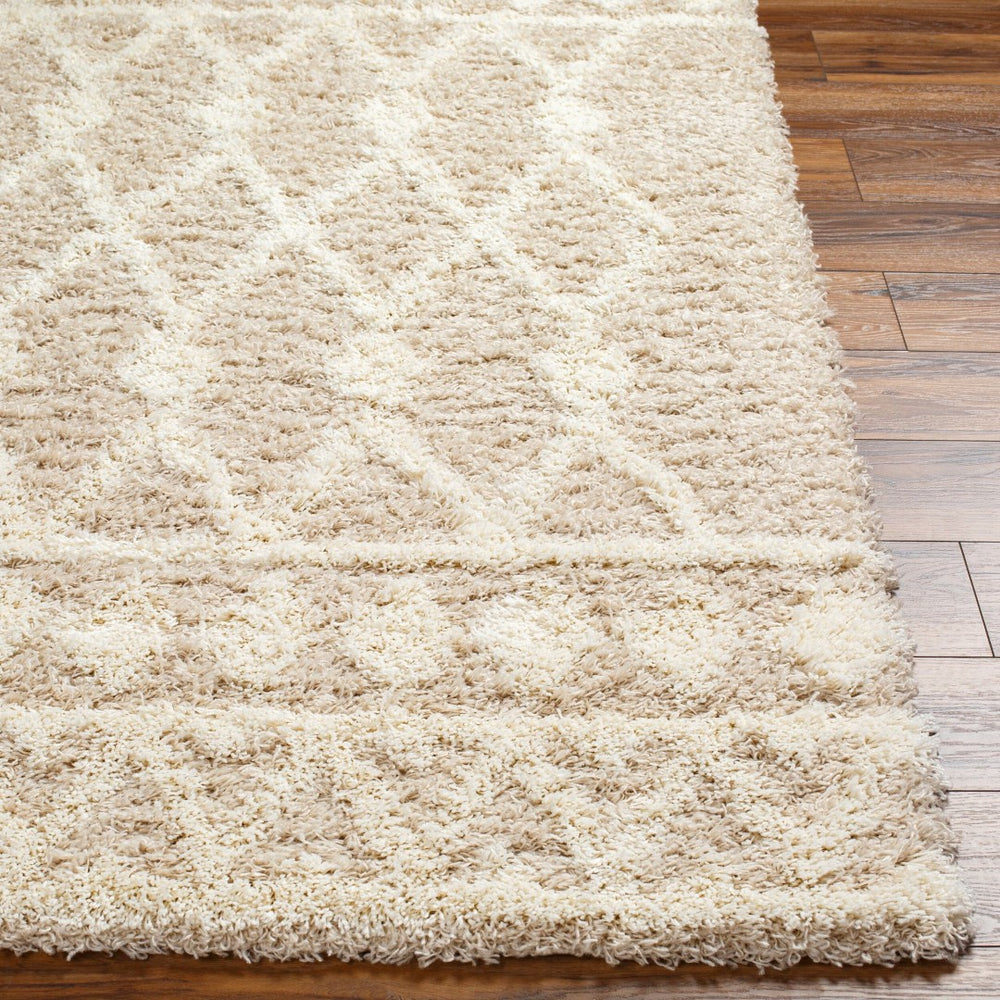 Livabliss Urban Scandinavian Shag Polypropylene Woven Rug Soft Textured Living Room Floor Accent USG2345-6796