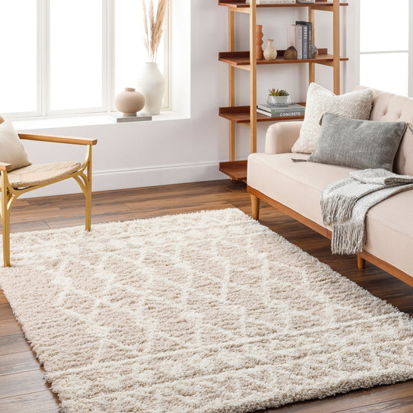 Livabliss Urban Scandinavian Shag Polypropylene Woven Rug Soft Textured Living Room Floor Accent USG2345-6796