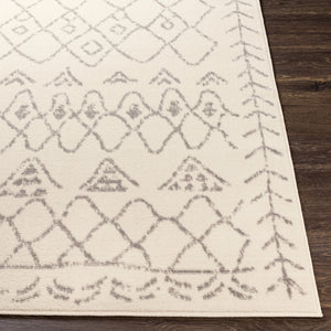 Livabliss Ustad Machine Woven Polypropylene Accent Rug Global Eclectic Pattern for Entryways UST2318-2211
