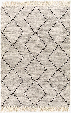 Livabliss Uttar Handwoven Flatweave Area Rug Wool Blend Global Pattern with Fringe Accent UTT2303-69