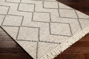 Livabliss Uttar Handwoven Flatweave Area Rug Wool Blend Global Pattern with Fringe Accent UTT2303-69