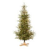 Park Hill Great Northern Spruce Christmas Tree, 9' XPQ90664 Park Hill