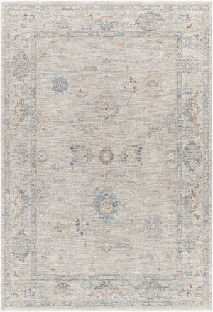 Livabliss Virginia Traditional Area Rug Machine Woven Polypropylene Blend for Living Dining Rooms VGN2301-8913