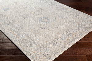 Livabliss Virginia Traditional Area Rug Machine Woven Polypropylene Blend for Living Dining Rooms VGN2301-8913
