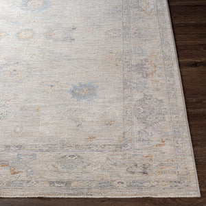 Livabliss Virginia Traditional Area Rug Machine Woven Polypropylene Blend for Living Dining Rooms VGN2301-8913