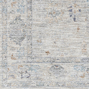 Livabliss Virginia Traditional Area Rug Machine Woven Polypropylene Blend for Living Dining Rooms VGN2301-8913
