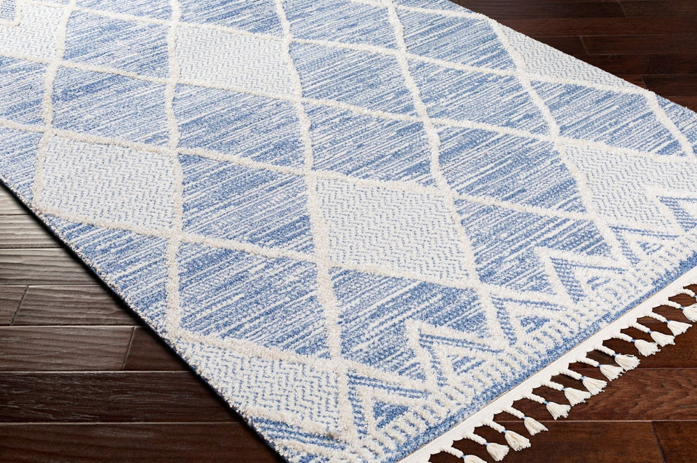 Livabliss Valencia Global Inspired High Pile Machine Woven Rug for Bohemian Living Spaces VLC2302-23