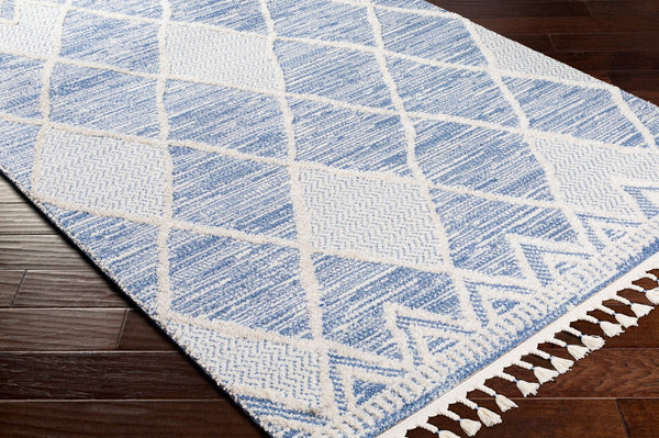 Livabliss Valencia Global Inspired High Pile Machine Woven Rug for Bohemian Living Spaces VLC2302-23