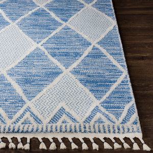 Livabliss Valencia Global Inspired High Pile Machine Woven Rug for Bohemian Living Spaces VLC2302-23