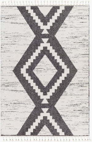 Livabliss Valencia Bohemian Global High Pile Rug Soft Polypropylene Blend Accent for Entryways VLC2303-23