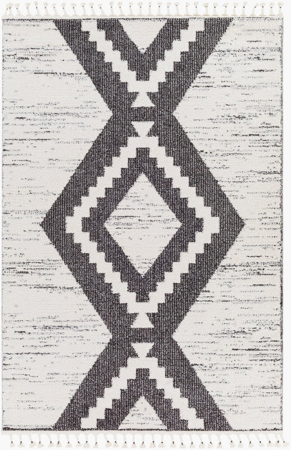 Livabliss Valencia Bohemian Global High Pile Rug Soft Polypropylene Blend Accent for Entryways VLC2303-23