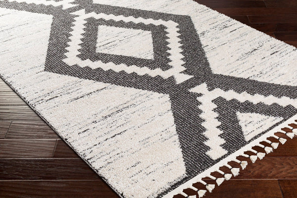 Livabliss Valencia Bohemian Global High Pile Rug Soft Polypropylene Blend Accent for Entryways VLC2303-23