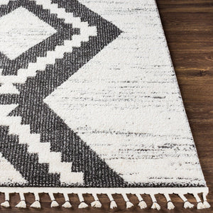 Livabliss Valencia Bohemian Global High Pile Rug Soft Polypropylene Blend Accent for Entryways VLC2303-23