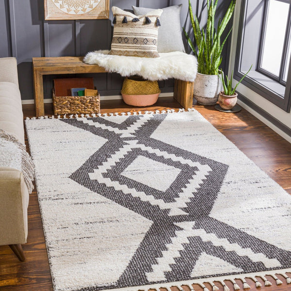 Livabliss Valencia Bohemian Global High Pile Rug Soft Polypropylene Blend Accent for Entryways VLC2303-23