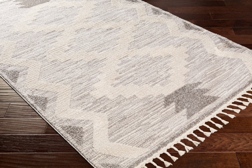Livabliss Valencia Bohemian Global High Pile Polypropylene Accent Rug for Entryways and Small Spaces VLC2309-23