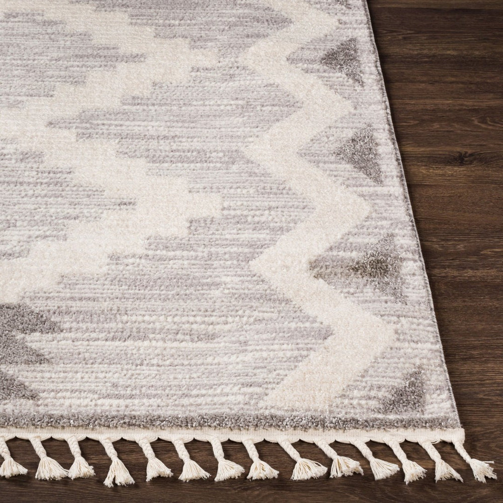 Livabliss Valencia Bohemian Global High Pile Polypropylene Accent Rug for Entryways and Small Spaces VLC2309-23