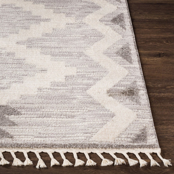 Livabliss Valencia Bohemian Global High Pile Polypropylene Accent Rug for Entryways and Small Spaces VLC2309-23