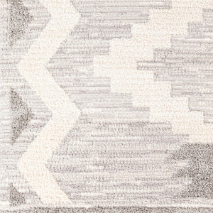 Livabliss Valencia Bohemian Global High Pile Polypropylene Accent Rug for Entryways and Small Spaces VLC2309-23