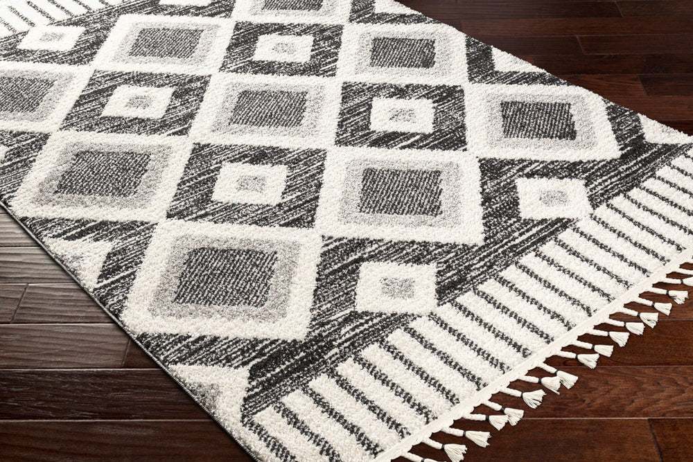 Livabliss Valencia Global Inspired High Pile Woven Rug for Entryways Bedrooms and Cozy Spaces VLC2310-23