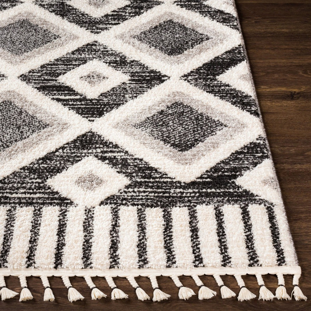 Livabliss Valencia Global Inspired High Pile Woven Rug for Entryways Bedrooms and Cozy Spaces VLC2310-23