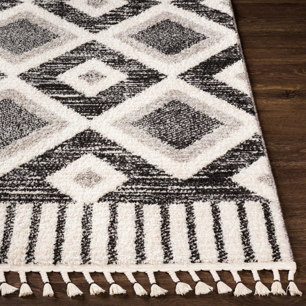 Livabliss Valencia Global Inspired High Pile Woven Rug for Entryways Bedrooms and Cozy Spaces VLC2310-23