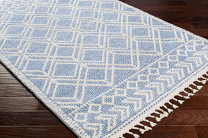 Livabliss Valencia Global Inspired Fringe Accent Rug Machine Woven Polypropylene Entryway Decor VLC2314-23