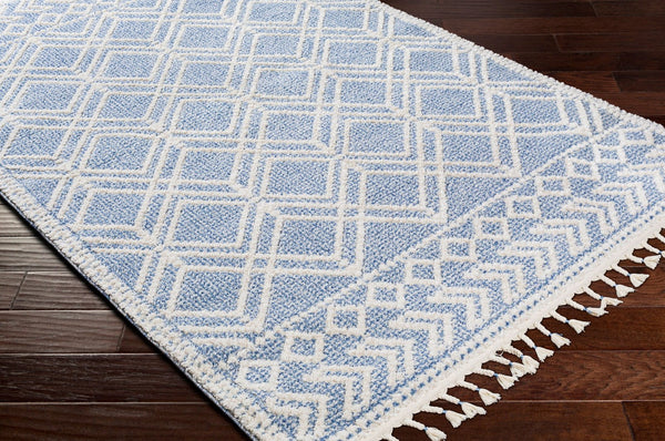 Livabliss Valencia Global Inspired Fringe Accent Rug Machine Woven Polypropylene Entryway Decor VLC2314-23