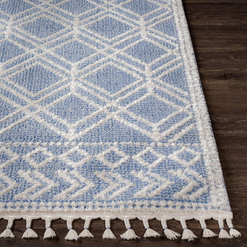 Livabliss Valencia Global Inspired Fringe Accent Rug Machine Woven Polypropylene Entryway Decor VLC2314-23