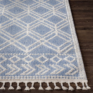 Livabliss Valencia Global Inspired Fringe Accent Rug Machine Woven Polypropylene Entryway Decor VLC2314-23