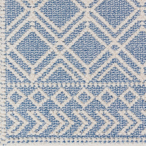 Livabliss Valencia Global Inspired Fringe Accent Rug Machine Woven Polypropylene Entryway Decor VLC2314-23