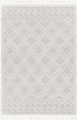 Livabliss Valencia Bohemian Global High Pile Area Rug with Fringe Border for Entryways Medium Gray, Cr 2' x 2'11" VLC2315-23