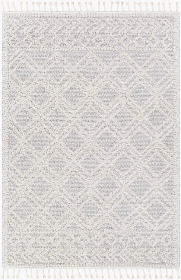 Livabliss Valencia Bohemian Global High Pile Area Rug with Fringe Border for Entryways Medium Gray, Cr 2' x 2'11" VLC2315-23