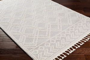Livabliss Valencia Bohemian Global High Pile Area Rug with Fringe Border for Entryways Medium Gray, Cr 2' x 2'11" VLC2315-23