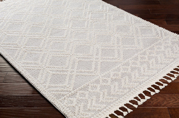 Livabliss Valencia Bohemian Global High Pile Area Rug with Fringe Border for Entryways Medium Gray, Cr 2' x 2'11" VLC2315-23