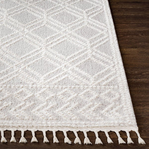 Livabliss Valencia Bohemian Global High Pile Area Rug with Fringe Border for Entryways Medium Gray, Cr 2' x 2'11" VLC2315-23