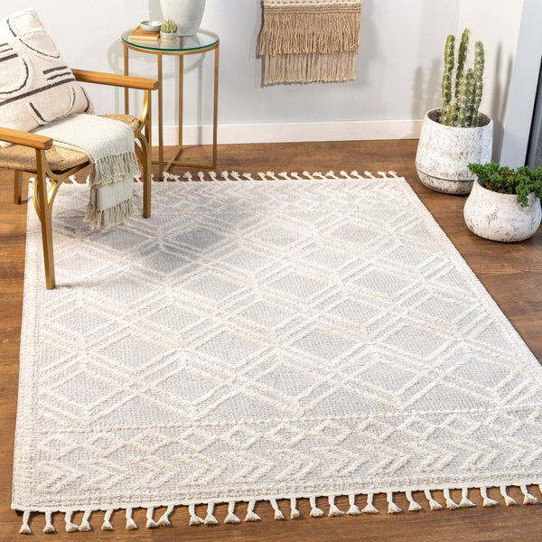 Livabliss Valencia Bohemian Global High Pile Area Rug with Fringe Border for Entryways Medium Gray, Cr 2' x 2'11" VLC2315-23