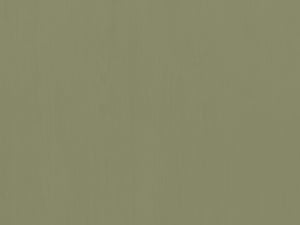 Legends Furniture Bridgevine Home Vineyard 72 Inch High 5-shelf Bookcase, No Assembly Required, Sage Green And Fruitwood Finish Sage And Fruitwood, Green Poplar Solids And Okoume Veneers Vy6672.Sfl