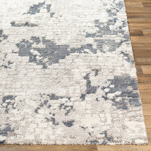 Livabliss Venice Polypropylene Machine Woven Accent Rug for Entryways and Mid-century Interiors Denim, Pale Blu 8'10" x 12'4" VNE2300-9123