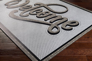 Livabliss Vinilo Flatweave Vinyl Area Rug for Entryways Kitchens and High Traffic Floors Usa Made Cream, Black 2' x 3' VNL2310-23