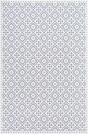 Livabliss Vinilo Flatweave Vinyl Area Rug Durable Machine Woven for Entryways and Kitchens VNL2312-2311