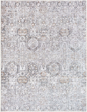 Livabliss Vinny Chenille Polyester Area Rug Machine Woven in Turkey for Living and Dining Rooms Light Gray, Bla 6'7" x 9' VNY2309-679