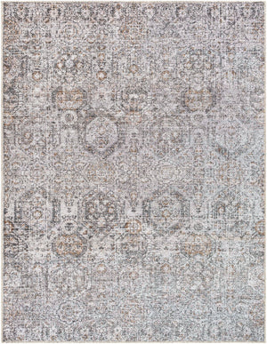 Vinny VNY-2309 8'10" x 12' Machine Woven Rug VNY2309-81012 Livabliss Surya