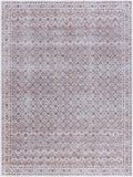 Vinny VNY-2321 8'10" x 12' Machine Woven Rug VNY2321-81012 Livabliss Surya