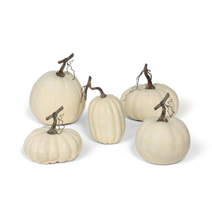 Full Moon Pumpkin Collection, Set of 5 FBY81037 Park Hill