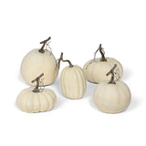 Full Moon Pumpkin Collection - Set of 5