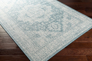 Livabliss Veranda Flatweave Polypropylene Accent Rug Traditional Pattern for Entryways and Hearths VRD2301-2211